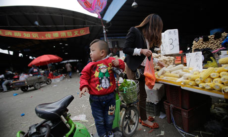 china bird flu