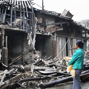 NGOs look to crowdfunding for green initiatives in China