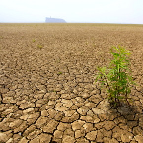 The drying up of China's largest freshwater lake