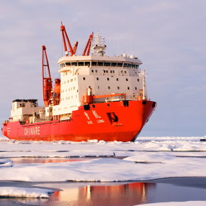 Polar bearings